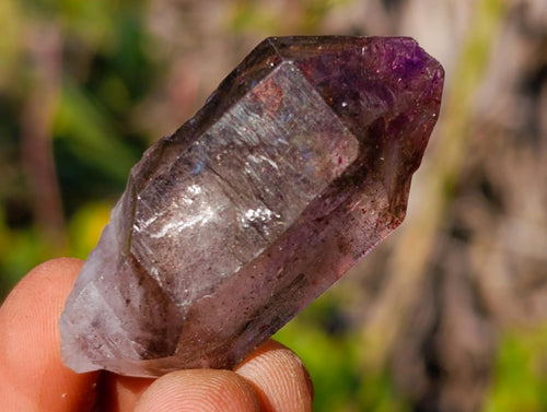 Natural Window Amethyst Crystal x 70 From Chiredzi, Zimbabwe - Toprock Gemstones and Minerals 