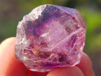 Natural Window Amethyst Crystal x 70 From Chiredzi, Zimbabwe - Toprock Gemstones and Minerals 