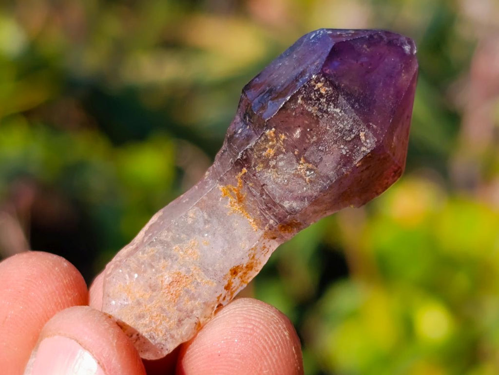 Natural Window Amethyst Crystal x 70 From Chiredzi, Zimbabwe - Toprock Gemstones and Minerals 