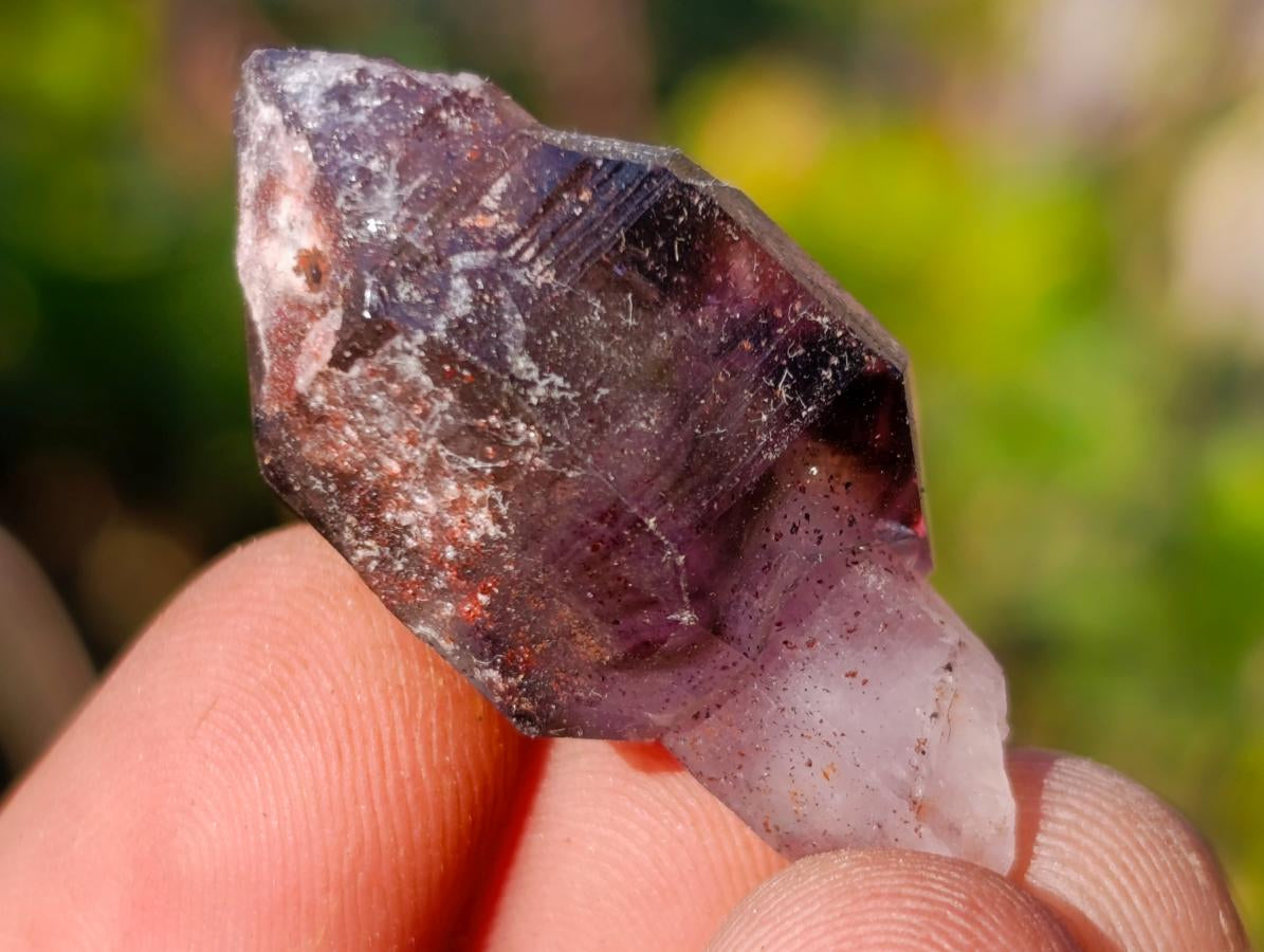Natural Window Amethyst Crystal x 70 From Chiredzi, Zimbabwe - Toprock Gemstones and Minerals 