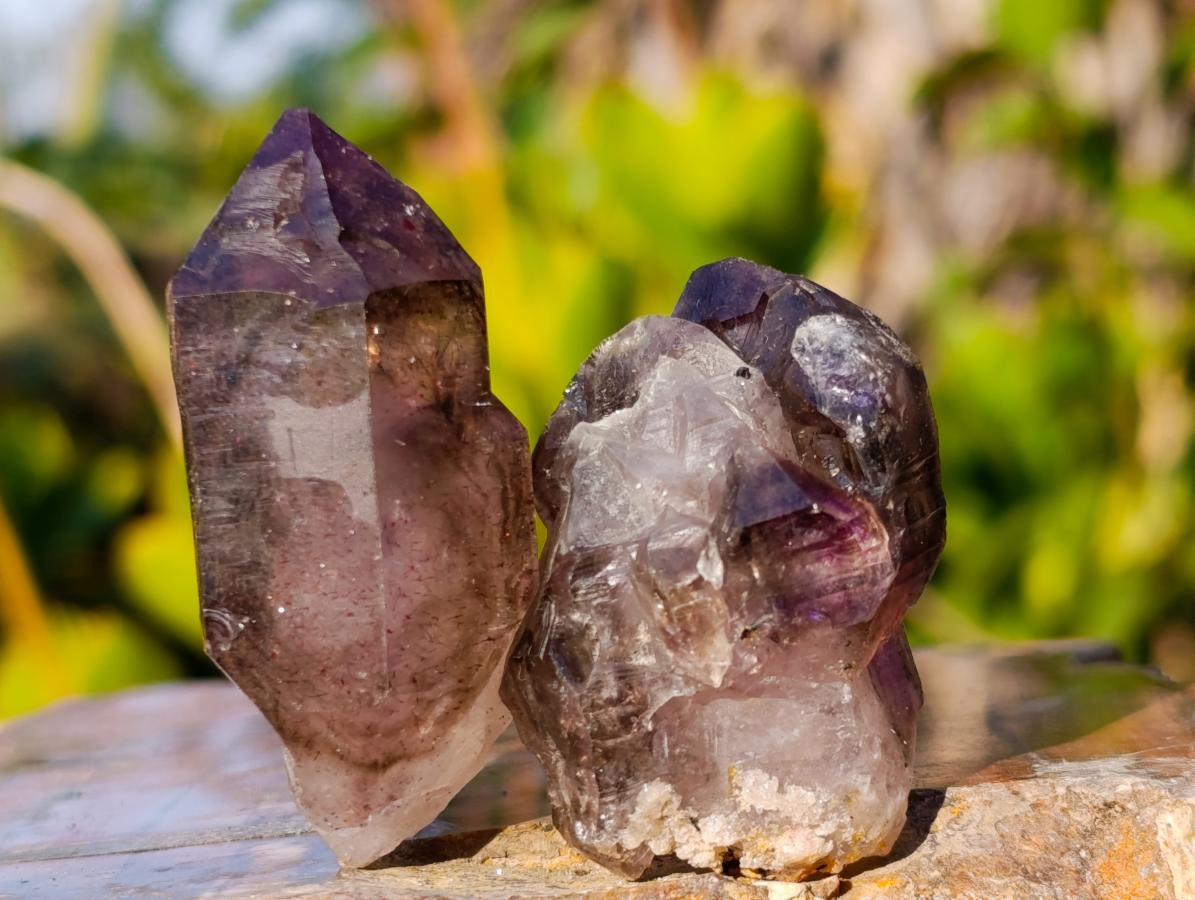 Natural Window Amethyst Crystal x 70 From Chiredzi, Zimbabwe - Toprock Gemstones and Minerals 