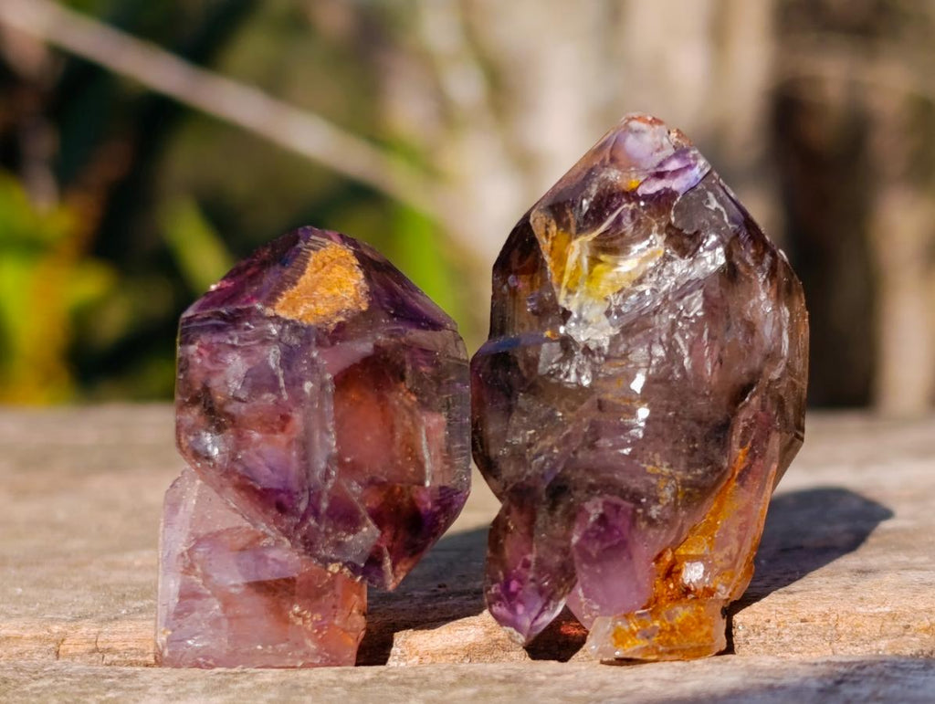 Natural Window Amethyst Crystal x 70 From Chiredzi, Zimbabwe - Toprock Gemstones and Minerals 