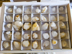 Natural Cascading Candle Quartz Crystals x 35 From Antsirabe, Madagascar - Toprock Gemstones and Minerals 