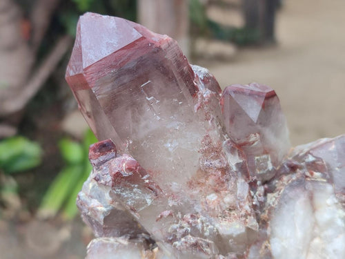Natural Red Hematoid Quartz Crystals and Clusters x 4 From Karoi, Zimbabwe - Toprock Gemstones and Minerals 