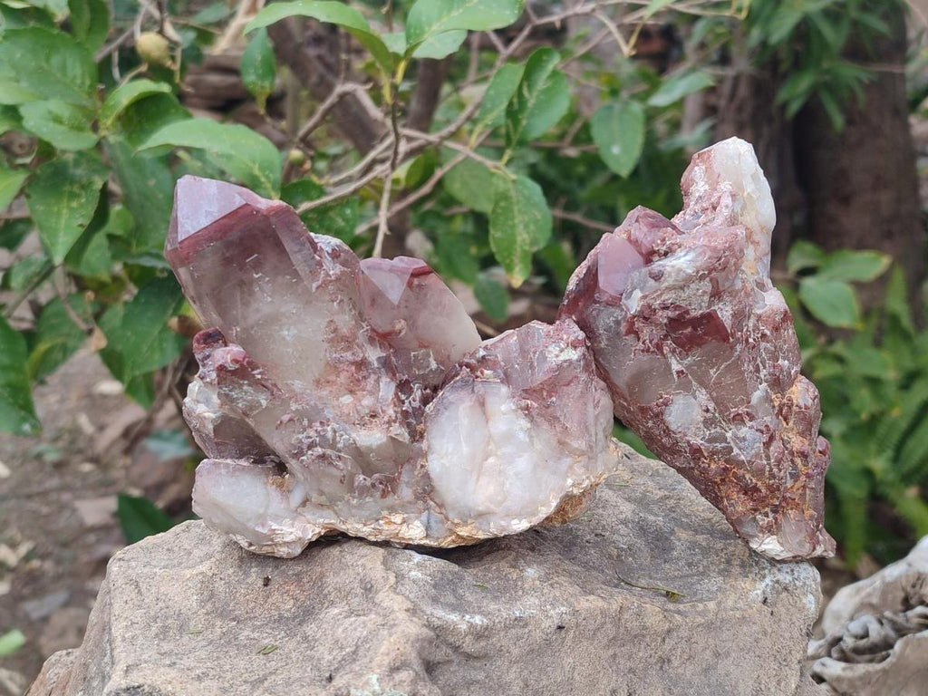 Natural Red Hematoid Quartz Crystals and Clusters x 4 From Karoi, Zimbabwe - Toprock Gemstones and Minerals 
