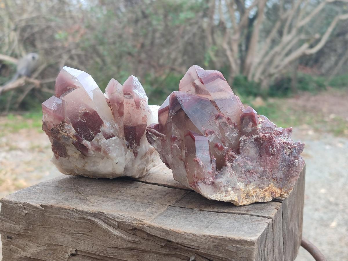 Natural Red Hematoid Quartz Crystals and Clusters x 4 From Karoi, Zimbabwe - Toprock Gemstones and Minerals 