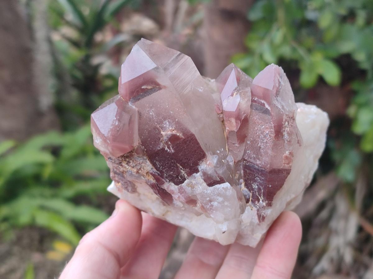 Natural Red Hematoid Quartz Crystals and Clusters x 4 From Karoi, Zimbabwe - Toprock Gemstones and Minerals 