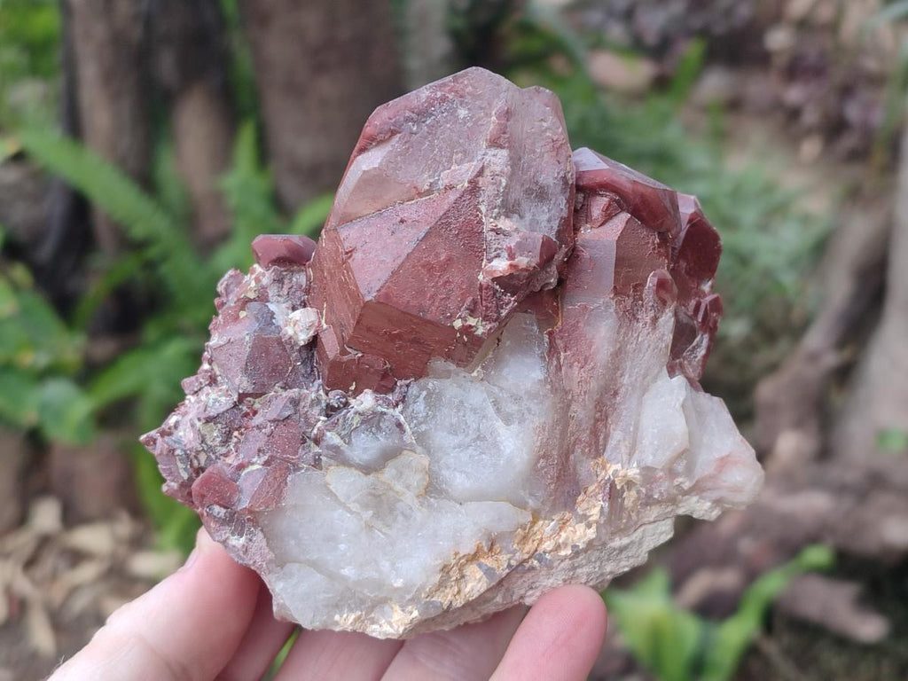 Natural Red Hematoid Quartz Crystals and Clusters x 4 From Karoi, Zimbabwe - Toprock Gemstones and Minerals 