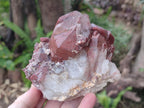 Natural Red Hematoid Quartz Crystals and Clusters x 4 From Karoi, Zimbabwe - Toprock Gemstones and Minerals 