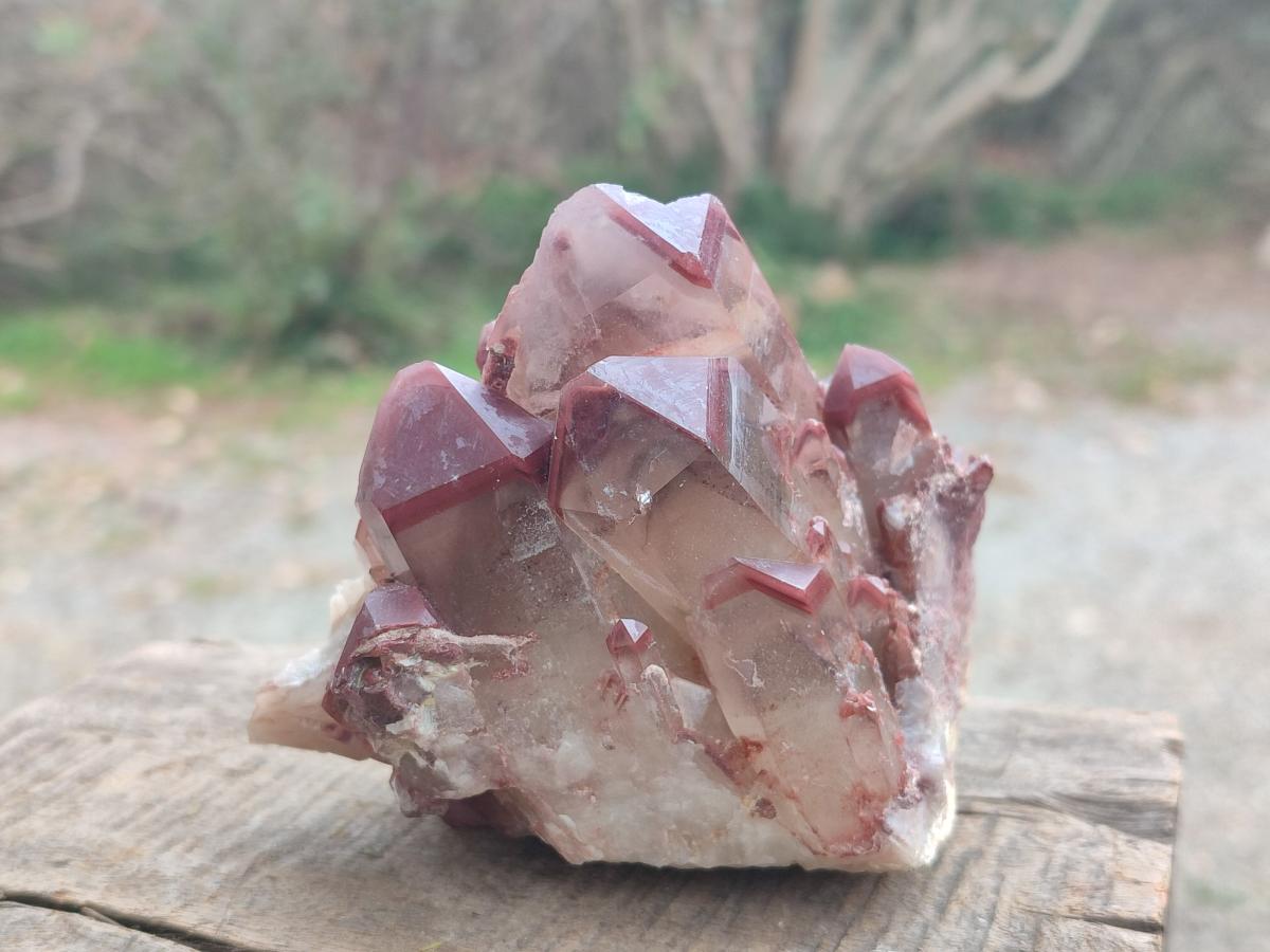 Natural Red Hematoid Quartz Crystals and Clusters x 4 From Karoi, Zimbabwe - Toprock Gemstones and Minerals 