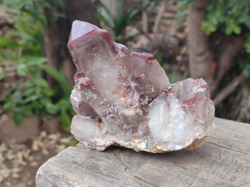 Natural Red Hematoid Quartz Crystals and Clusters x 4 From Karoi, Zimbabwe - Toprock Gemstones and Minerals 