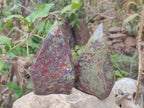Polished Bastite Dragonsblood Stone Display Crystals x 2 From Tshipise, South Africa - Toprock Gemstones and Minerals 