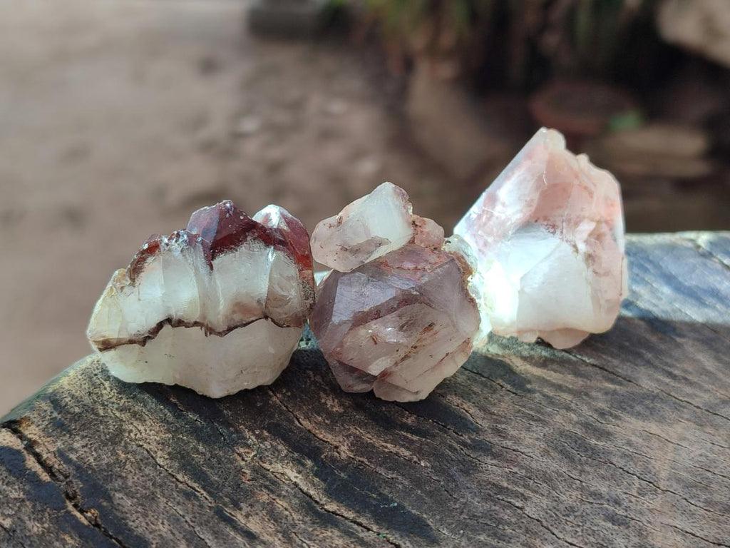 Natural Multi Mineral Specimens x 2,06 Kg From Southern Africa - Toprock Gemstones and Minerals 