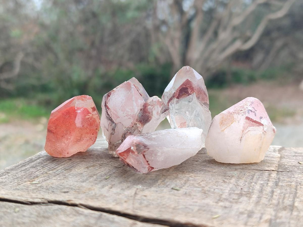 Natural Multi Mineral Specimens x 2,06 Kg From Southern Africa - Toprock Gemstones and Minerals 