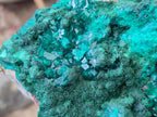 Natural Dioptase on Dolomite Specimens with Crystalline Malachite x 2 From Mashamba East Mine, Congo - Toprock Gemstones and Minerals 