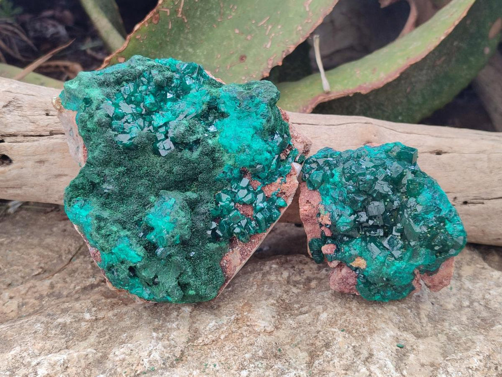 Natural Dioptase on Dolomite Specimens with Crystalline Malachite x 2 From Mashamba East Mine, Congo - Toprock Gemstones and Minerals 