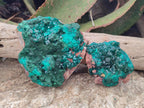 Natural Dioptase on Dolomite Specimens with Crystalline Malachite x 2 From Mashamba East Mine, Congo - Toprock Gemstones and Minerals 
