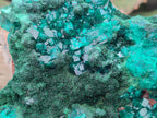 Natural Dioptase on Dolomite Specimens with Crystalline Malachite x 2 From Mashamba East Mine, Congo - Toprock Gemstones and Minerals 
