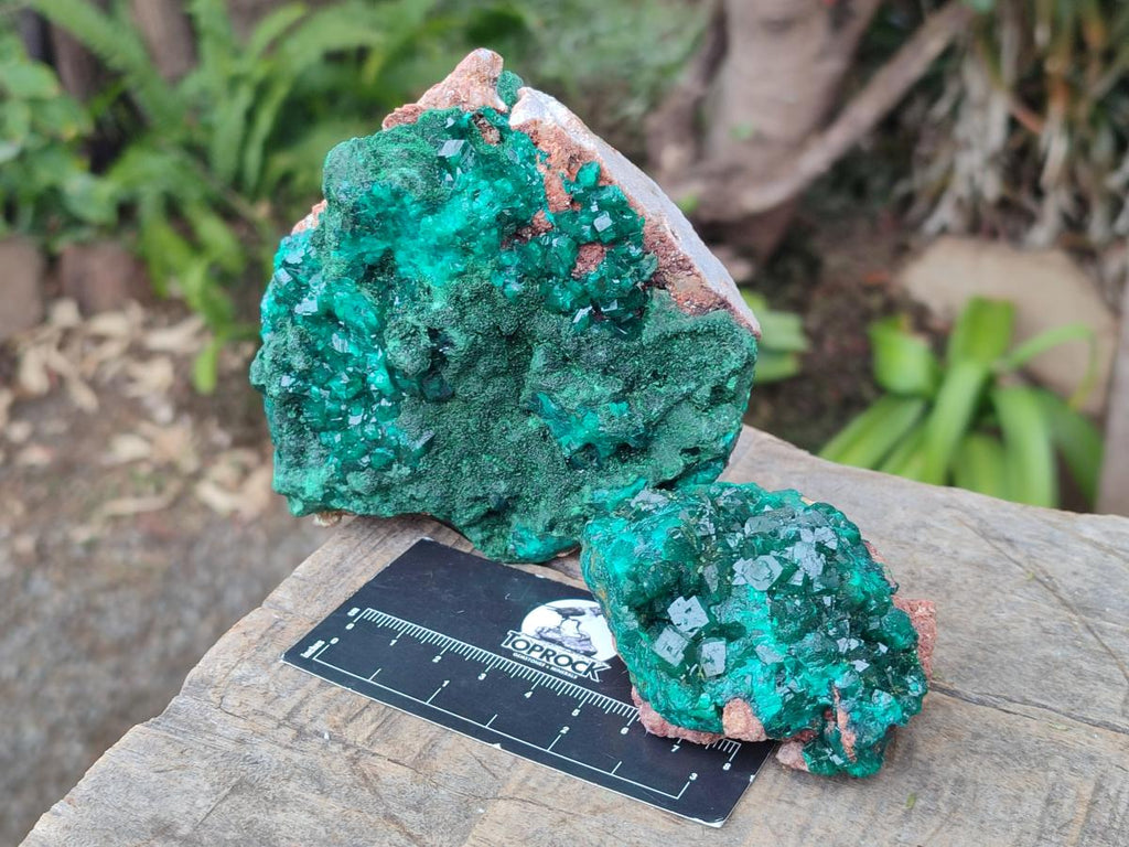 Natural Dioptase on Dolomite Specimens with Crystalline Malachite x 2 From Mashamba East Mine, Congo - Toprock Gemstones and Minerals 