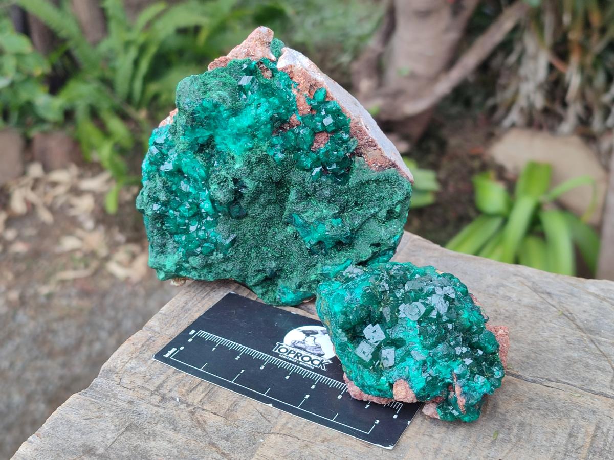 Natural Dioptase on Dolomite Specimens with Crystalline Malachite x 2 From Mashamba East Mine, Congo - Toprock Gemstones and Minerals 