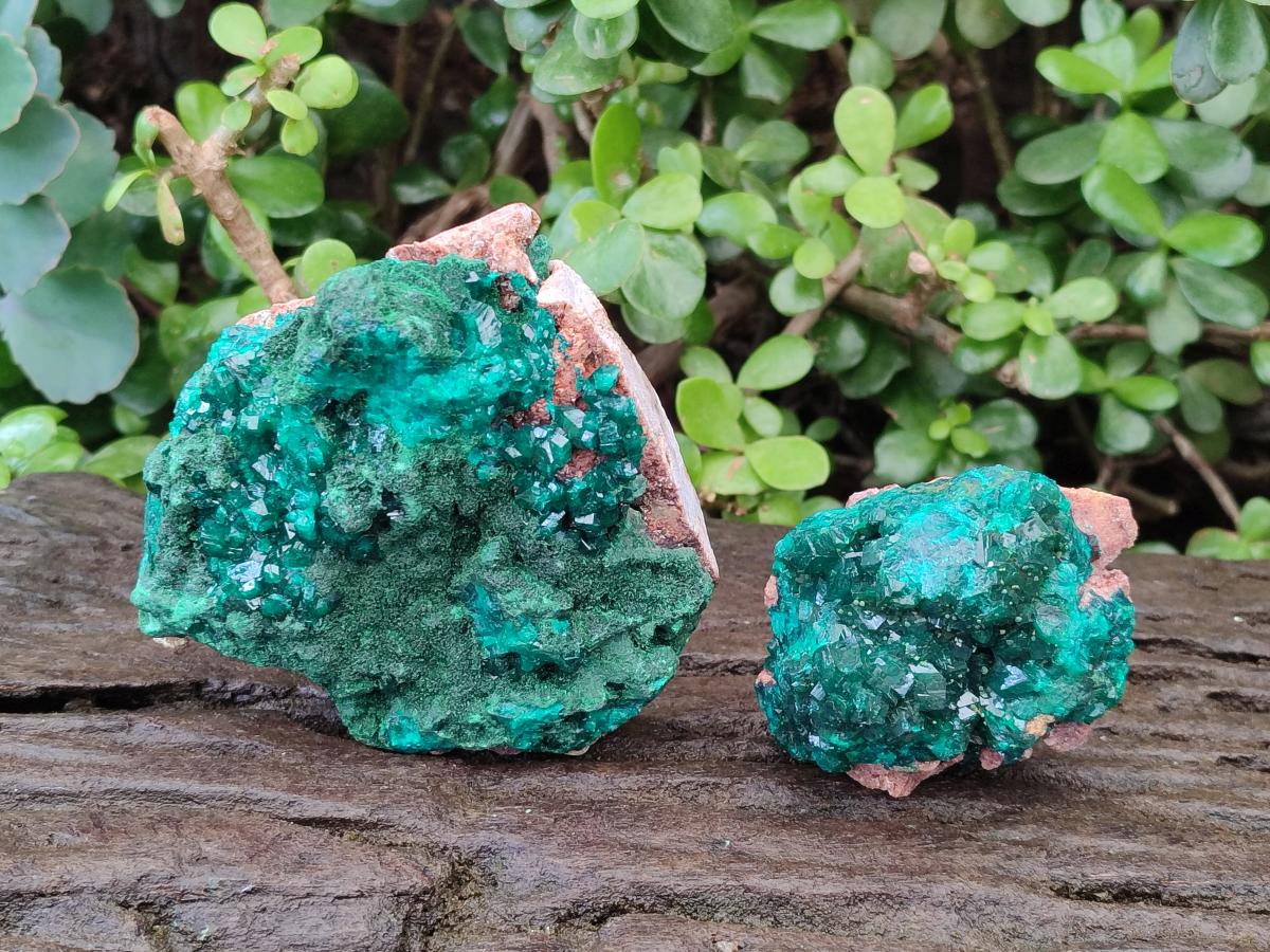 Natural Dioptase on Dolomite Specimens with Crystalline Malachite x 2 From Mashamba East Mine, Congo - Toprock Gemstones and Minerals 