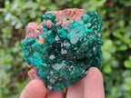 Natural Dioptase on Dolomite Specimens with Crystalline Malachite x 2 From Mashamba East Mine, Congo - Toprock Gemstones and Minerals 