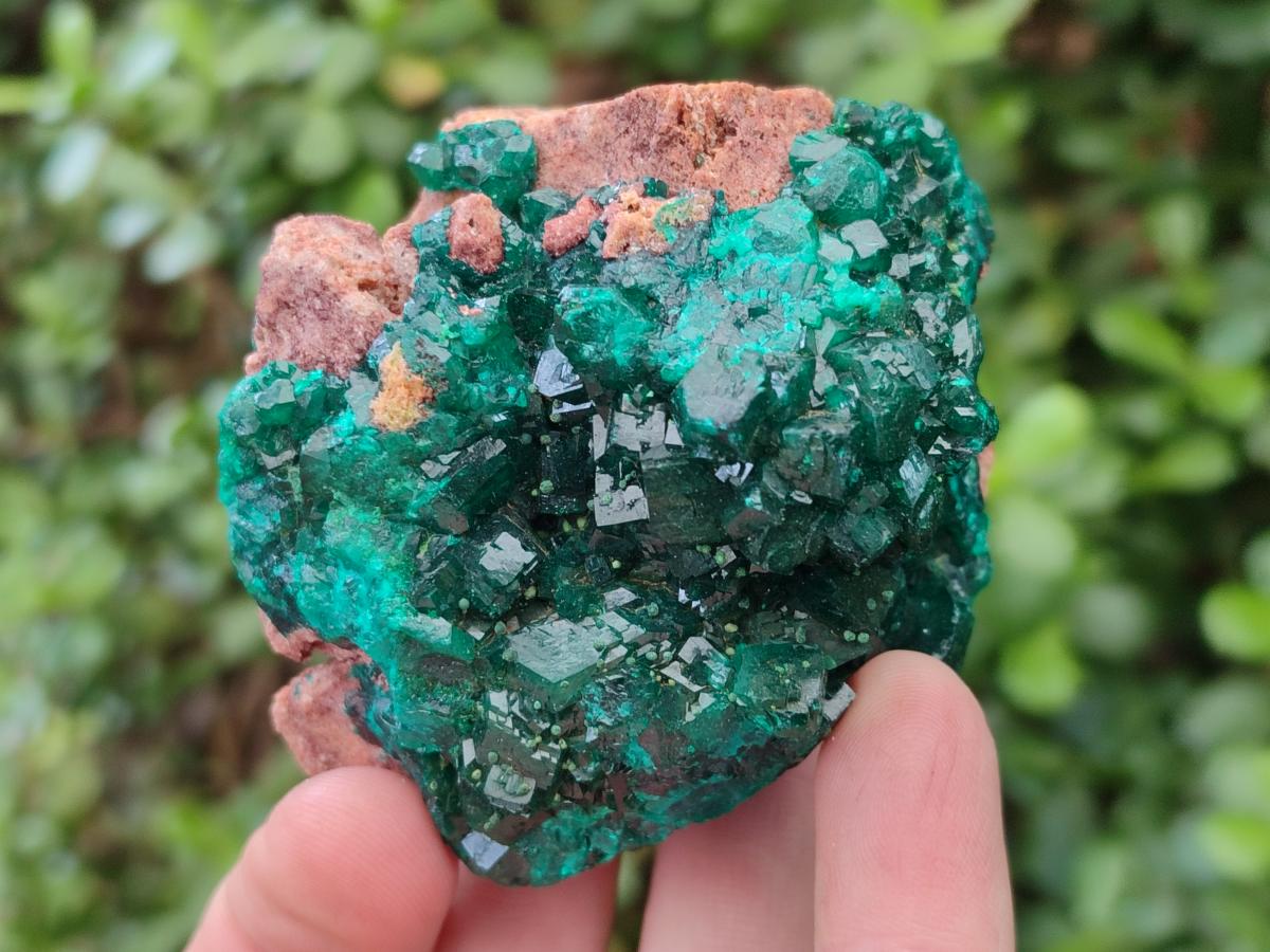 Natural Dioptase on Dolomite Specimens with Crystalline Malachite x 2 From Mashamba East Mine, Congo - Toprock Gemstones and Minerals 