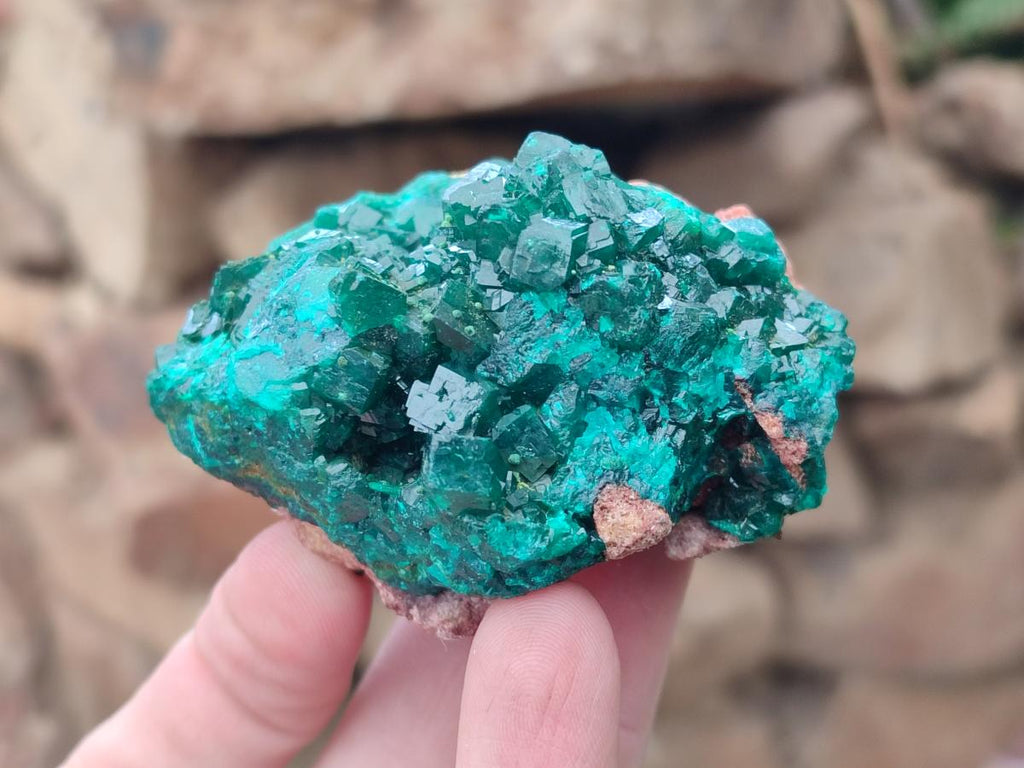 Natural Dioptase on Dolomite Specimens with Crystalline Malachite x 2 From Mashamba East Mine, Congo - Toprock Gemstones and Minerals 