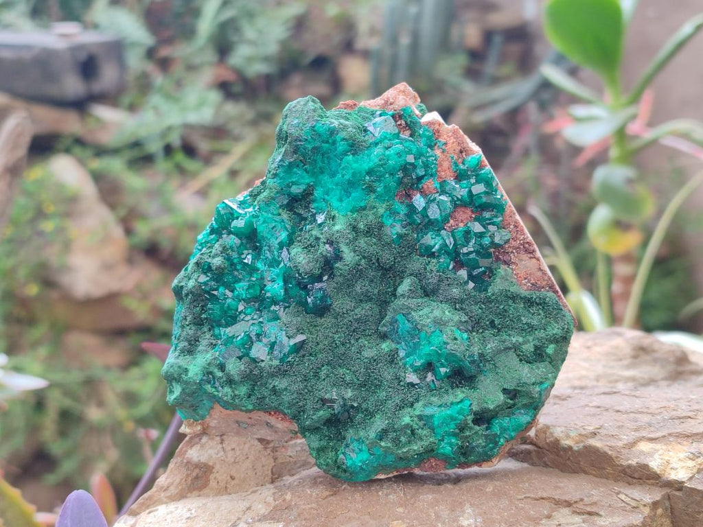 Natural Dioptase on Dolomite Specimens with Crystalline Malachite x 2 From Mashamba East Mine, Congo - Toprock Gemstones and Minerals 