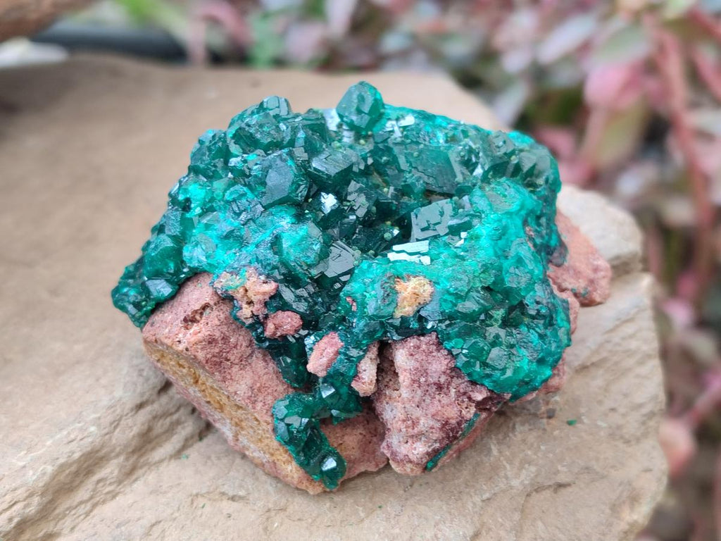 Natural Dioptase on Dolomite Specimens with Crystalline Malachite x 2 From Mashamba East Mine, Congo - Toprock Gemstones and Minerals 