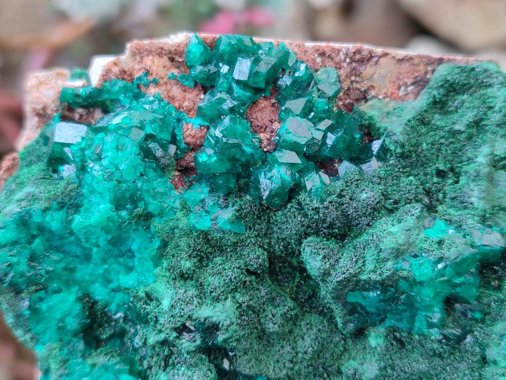 Natural Dioptase on Dolomite Specimens with Crystalline Malachite x 2 From Mashamba East Mine, Congo - Toprock Gemstones and Minerals 