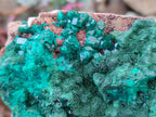 Natural Dioptase on Dolomite Specimens with Crystalline Malachite x 2 From Mashamba East Mine, Congo - Toprock Gemstones and Minerals 