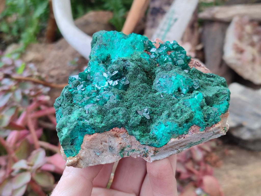Natural Dioptase on Dolomite Specimens with Crystalline Malachite x 2 From Mashamba East Mine, Congo - Toprock Gemstones and Minerals 