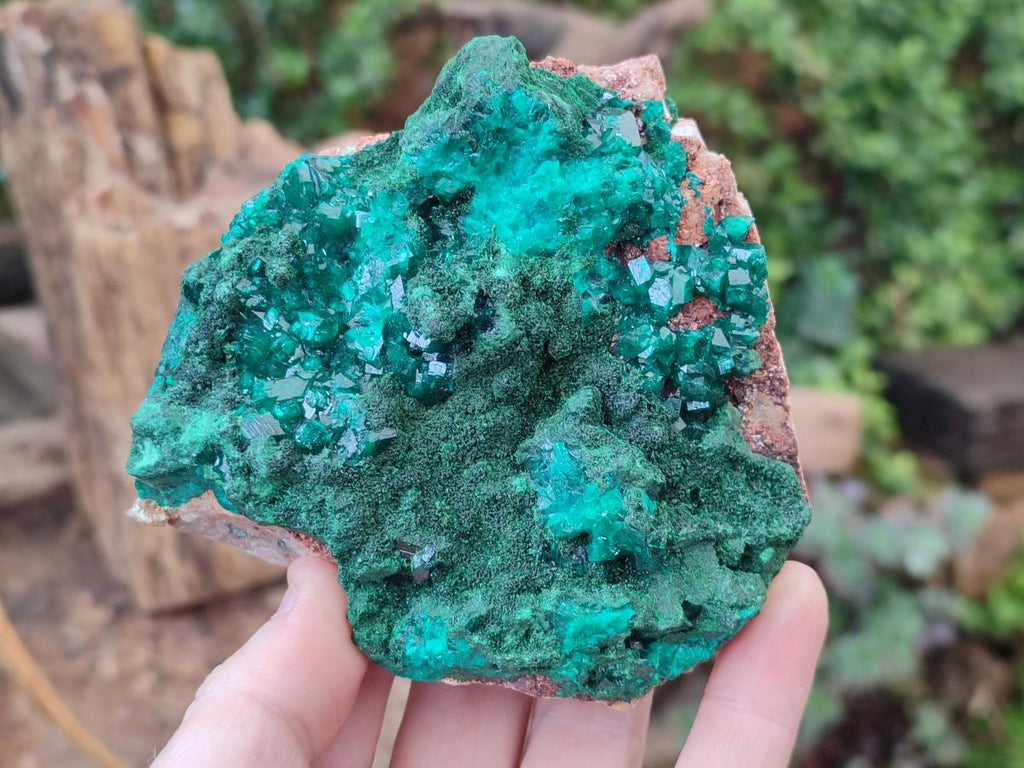 Natural Dioptase on Dolomite Specimens with Crystalline Malachite x 2 From Mashamba East Mine, Congo - Toprock Gemstones and Minerals 