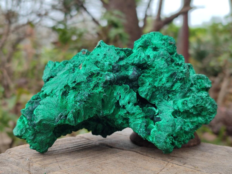 Natural Large Cabinet Size Silky Malachite Specimen x 1 From Kasompe, Congo - Toprock Gemstones and Minerals 