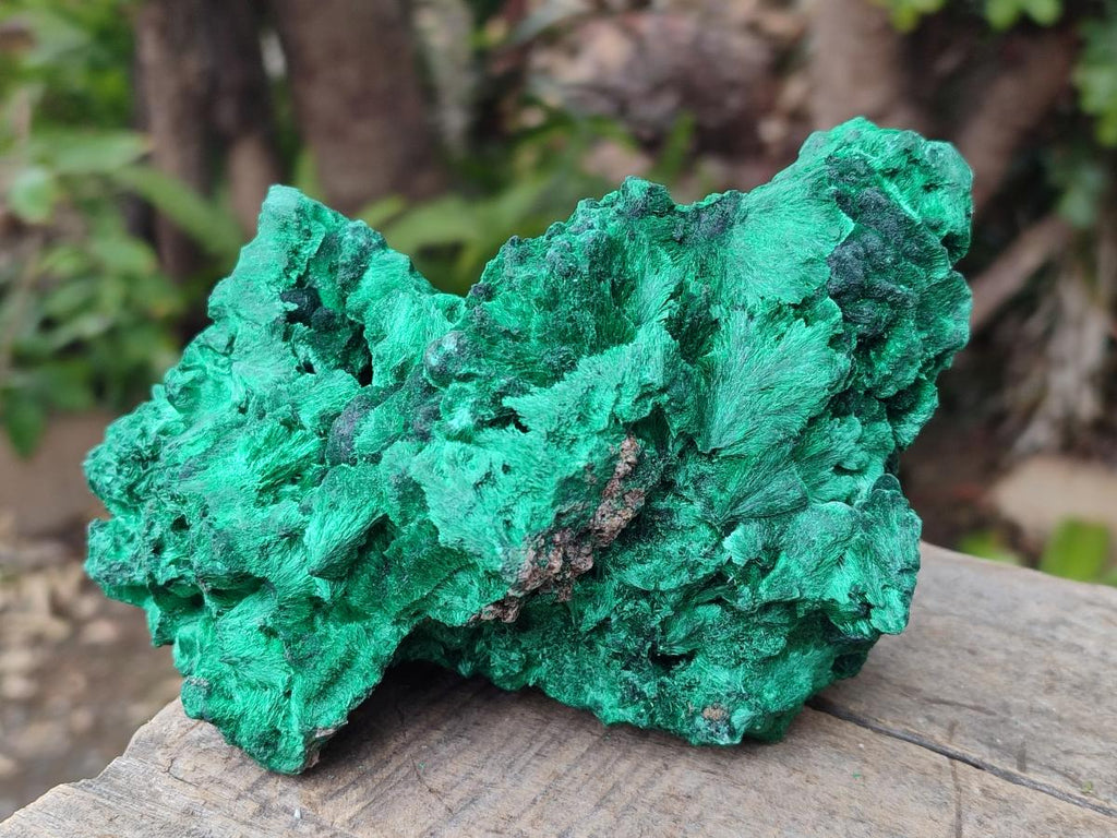Natural Large Cabinet Size Silky Malachite Specimen x 1 From Kasompe, Congo - Toprock Gemstones and Minerals 