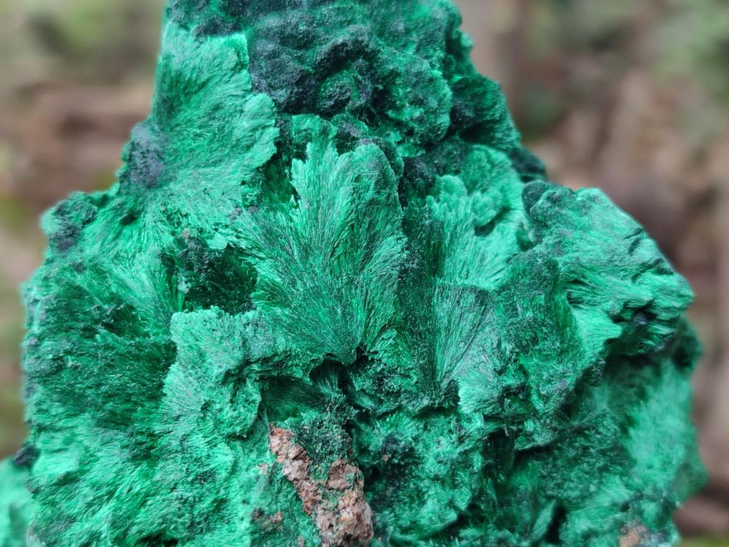 Natural Large Cabinet Size Silky Malachite Specimen x 1 From Kasompe, Congo - Toprock Gemstones and Minerals 