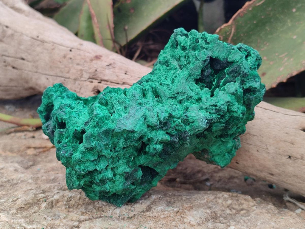 Natural Large Cabinet Size Silky Malachite Specimen x 1 From Kasompe, Congo - Toprock Gemstones and Minerals 