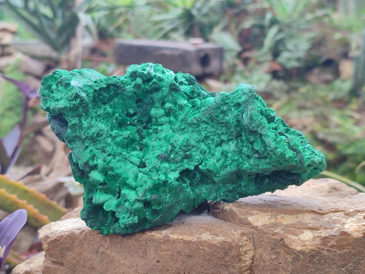 Natural Large Cabinet Size Silky Malachite Specimen x 1 From Kasompe, Congo - Toprock Gemstones and Minerals 