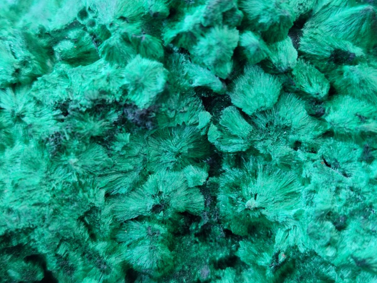 Natural Large Cabinet Size Silky Malachite Specimen x 1 From Kasompe, Congo - Toprock Gemstones and Minerals 