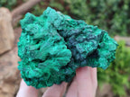 Natural Large Cabinet Size Silky Malachite Specimen x 1 From Kasompe, Congo - Toprock Gemstones and Minerals 