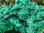 Natural Large Cabinet Size Silky Malachite Specimen x 1 From Kasompe, Congo - Toprock Gemstones and Minerals 