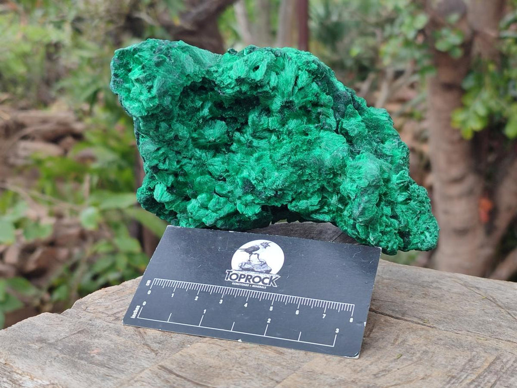 Natural Large Cabinet Size Silky Malachite Specimen x 1 From Kasompe, Congo - Toprock Gemstones and Minerals 
