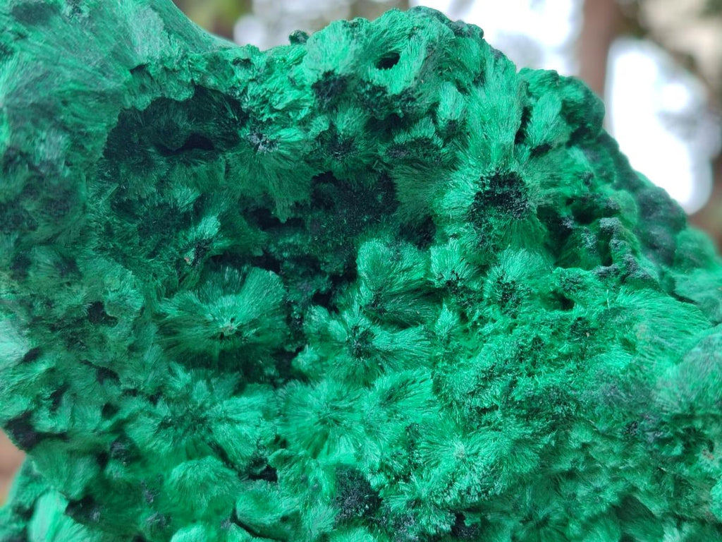 Natural Large Cabinet Size Silky Malachite Specimen x 1 From Kasompe, Congo - Toprock Gemstones and Minerals 