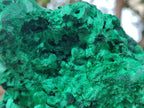 Natural Large Cabinet Size Silky Malachite Specimen x 1 From Kasompe, Congo - Toprock Gemstones and Minerals 