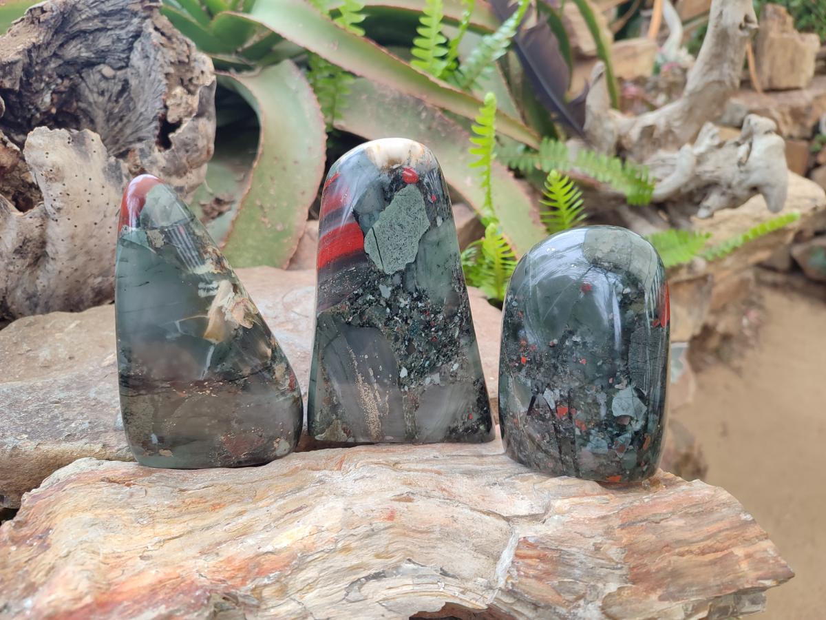 Polished Bloodstone Standing Display Pieces x 3 From Swaziland - Toprock Gemstones and Minerals 