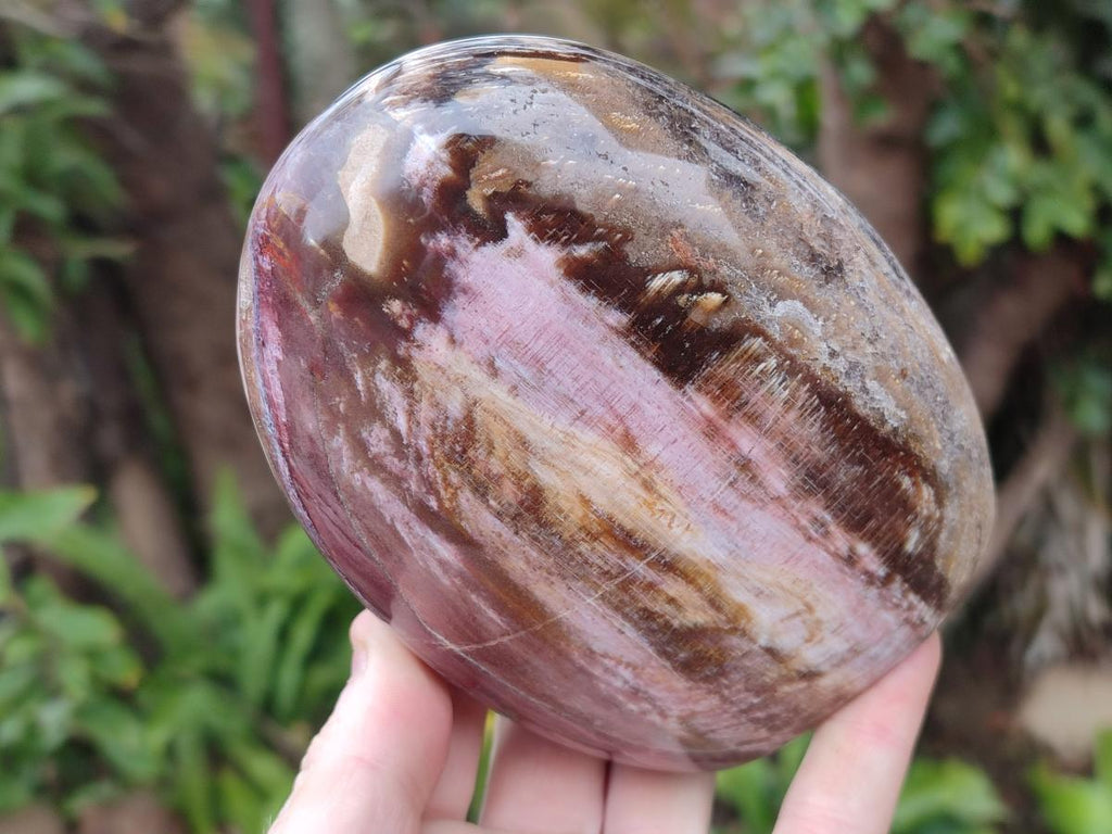 Polished Red Podocarpus Petrified Wood Standing Display Pieces x 2 From Mahajanga, Madagascar - Toprock Gemstones and Minerals 