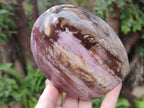 Polished Red Podocarpus Petrified Wood Standing Display Pieces x 2 From Mahajanga, Madagascar - Toprock Gemstones and Minerals 