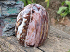 Polished Red Podocarpus Petrified Wood Standing Display Pieces x 2 From Mahajanga, Madagascar - Toprock Gemstones and Minerals 