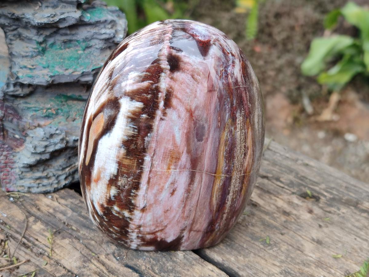 Polished Red Podocarpus Petrified Wood Standing Display Pieces x 2 From Mahajanga, Madagascar - Toprock Gemstones and Minerals 